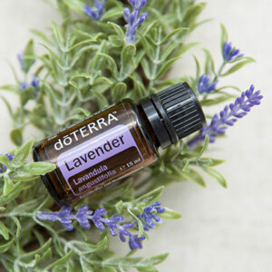 doTerra Lavendel