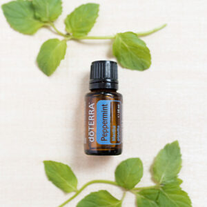 doTerra Pfefferminze