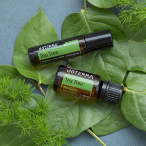 doTerra Teebaumöl